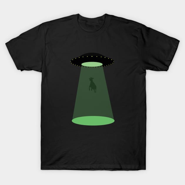 It cames from outerspace ! T-Shirt by JorisLAQ